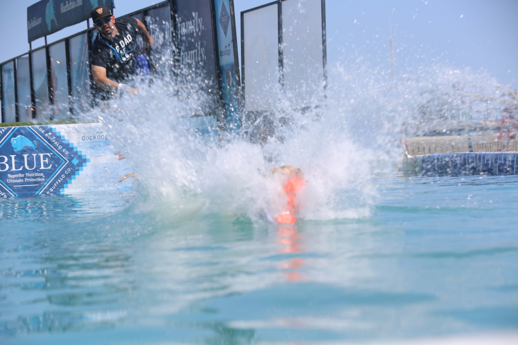 090919_gal_dockdogsWW (2)